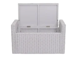 Baúl de almacenamiento Génova Ratán, blanco