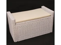 Baúl de almacenamiento Génova Ratán, blanco
