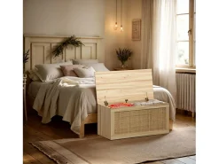 Baúl Made Pino - Rattan