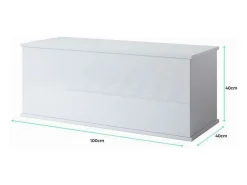 Baúl para Dormitorio en Negro 100x40x40cm Ariel