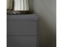 Banco Zapatero con 1 Solapa para Entrada Banco de Almacenamianto con Cojín Acolchado de Asiento 60 x 30 x 50 cm Gris FSR95-HG SoBuy ES