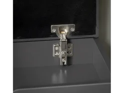 Banco Zapatero con 1 Solapa para Entrada Banco de Almacenamianto con Cojín Acolchado de Asiento 60 x 30 x 50 cm Gris FSR95-HG SoBuy ES