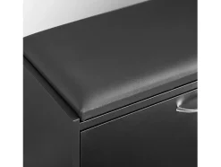 Banco Zapatero con 1 solapas Banco de almacenamianto con cojín acolchado de asiento 60 x 30 x 44 cm NEGRO FSR16-SCH SoBuy ES
