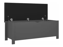 Caja de almacenaje y cojín madera ingeniería gris 105x40x45 cm ES151158