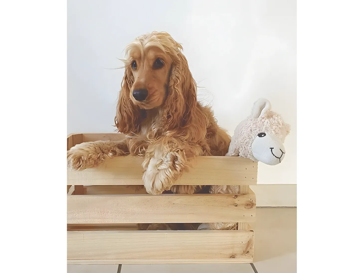Caja de madera maciza en tono natural de 49x30,5x25,5cm - BOX - DECOWOOD
