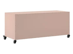 Cyprien Mueble de TV acero rosa 100,5x39x43,5 cm