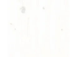 Estantería/divisor de espacios madera pino blanco 60x30x71,5 cm