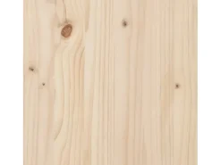 Estantería/divisor de espacios madera maciza 80x35x160 cm