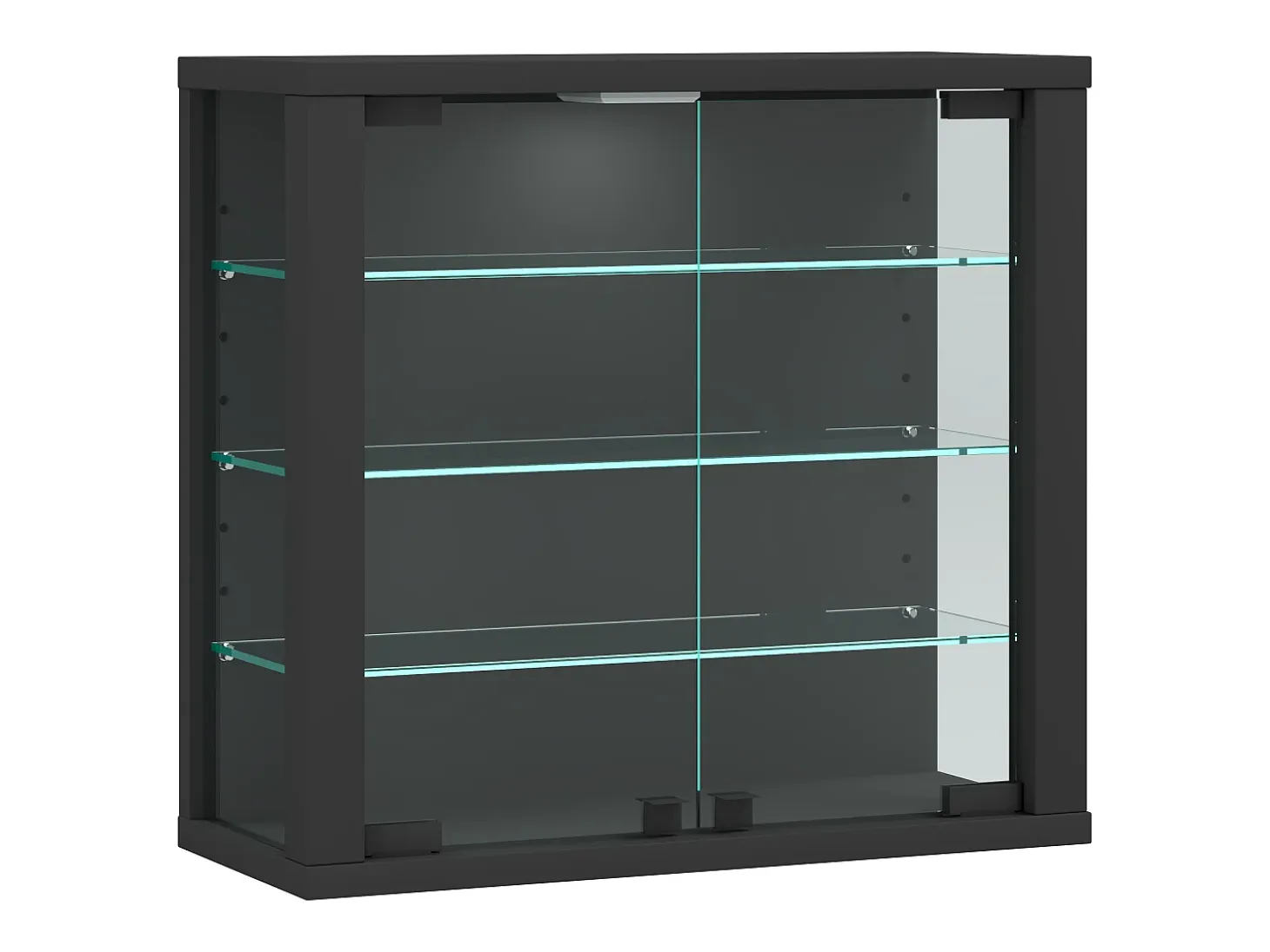 Gabinete de exhibición de pared Vitrosa