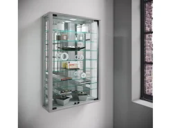 Gabinete de exhibición de pared Vitrosa
