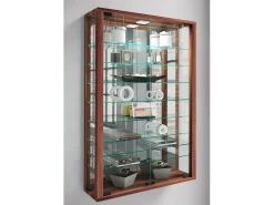 Gabinete de exhibición de pared Vitrosa
