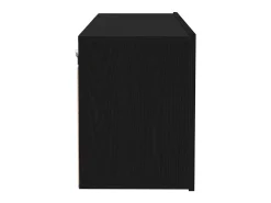 Gabinete de TV Montaje en la pared Roble Negro 100 x 30 x 41 cm