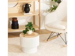 Mesa de café con almacenamiento tipo cofre