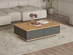 Mesa de centro con 2 puertas - Natural Claro y Antracita - LOTULA