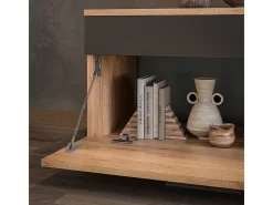 Mueble de salón oro power roble/antracita 70.8x35.3x38.9 berno