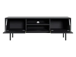 Mueble de TV con 2 puertas y 2 estantes - Negro - DABRIANA
