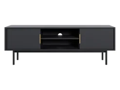 Mueble de TV con 2 puertas y 2 estantes - Negro - DABRIANA