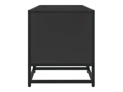 Mueble de TV madera de ingeniería y metal negro 120x35x41 cm