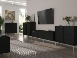 Mueble TV de 2 puertas con pies dorados - 121 cm - grafito negro - OKTIO