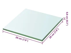 Panel de estante Vidrio transparente 20 x 20 cm