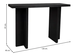 Recibidor de madera negro