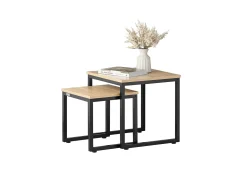 Set de 2 Mesas Auxiliares Mesa Nido de Salón Mesitas de Madera y Metal FBT42-N SoBuy ES