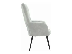 Silla de relajación de terciopelo gris claro