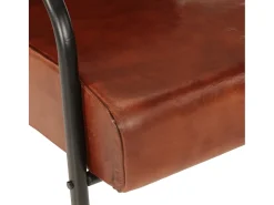 Sillón de cuero auténtico marrón