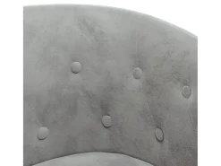 Sillón de salón | Silla de relax | Sillón de terciopelo gris claro SHL3525