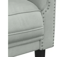 Sillón de terciopelo gris claro