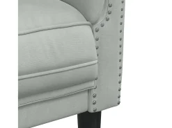 Sillón de terciopelo gris claro