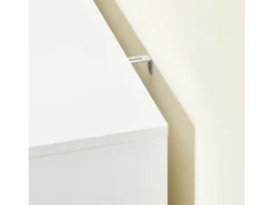 SoBuy FSR189-WN Zapatero con 3 Solapas y 1 Puerta 80x34x122 cm Blanco