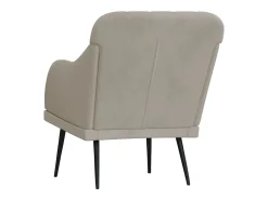Streetsboro Sillón de terciopelo gris claro 63x76x80 cm