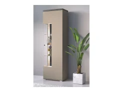 Vitrina 1 puerta colección NESS – Acabado Congo & Antracita – 10 nichos de almacenamiento – Sin LED