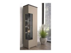 Vitrina 1 puerta colección NESS – Acabado Congo & Antracita – 10 nichos de almacenamiento – Sin LED