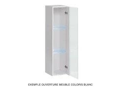 Vitrina colgante negra modelo pequeño con 1 puerta de vidrio y iluminación LED incluida. Colección SWITCH.