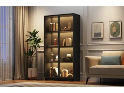 Vitrina de cristal - 80 x 40 x 160 cm - con LED + 2 puertas con estantes móviles - aglomerado - negro