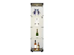 Vitrina de cristal - mueble expositor para colecciones con iluminación LED - 1 puerta y 4 estantes - vitrina para figuras