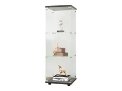 Vitrina de cristal de 3 estantes con puerta, estantería independiente para sala de estar, dormitorio y oficina, 42 x 36 x 125 cm, color negro