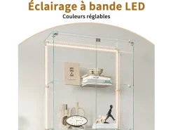 Vitrina de cristal de 5 estantes con iluminación LED personalizable – Base negra