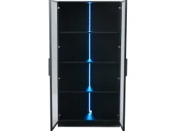 Vitrina de vidrio 80x40x160 cm - con iluminación LED - con estantes móviles - con 2 puertas - negra