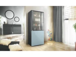 Vitrina Granada de Vladon, Armario Vitrina Made in Germany con Puerta de Cristal e Inserto de Cristal, antracita mate/mezclilla mate (50 x 122,5 x 34,5 cm)