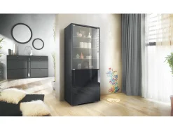 Vitrina Granada de Vladon, Armario Vitrina Made in Germany con Puerta de Cristal e Inserto de Cristal, antracita mate/negro de alto brillo (50 x 122,5 x 34,5 cm)