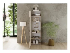 Vitrina SCENA – L60 x H187 x P42 cm – 1 puerta – Color Cachemira