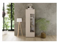 Vitrina SCENA – L60 x H187 x P42 cm – 1 puerta – Color Cachemira