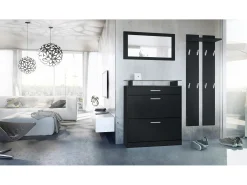 Vladon Mueble recibidor Loret mini, Mueble de entrada compuesto por 1 Zapatero, 1 Espejo de pared y 2 Percheros, Negro mate/Negro mate