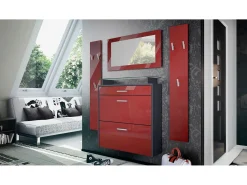 Vladon Mueble recibidor Malea, Mueble de entrada compuesto por 1 Zapatero colgante, 1 Espejo de pared y 2 Percheros, Antracita mate/Burdeos de alto brillo