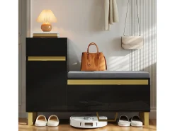 Zapatero con 3 puertas, 1 cajón y cojín - Negro y dorado
