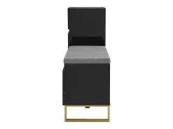 Zapatero con 3 puertas, 1 cajón y cojín - Negro y dorado