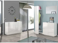 Zapatero de entrada 2 puertas diseño moderno blanco 16 pares de zapatos Ping W16